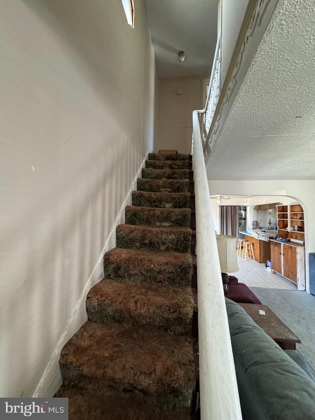 staircase with a textured ceiling and carpet flooring