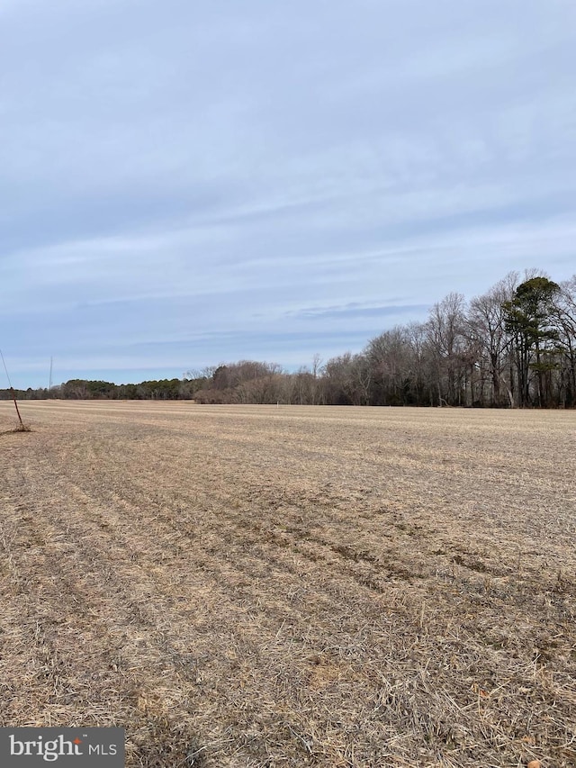 Listing photo 3 for LOT3 Beaver Dam Rd, Trappe MD 21673