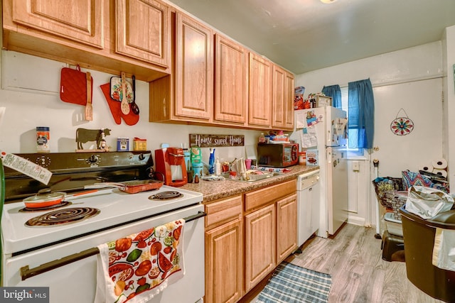 kitchen with sink, white appliances, and light hardwood / wood-style floors