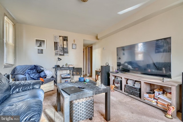 view of carpeted living room