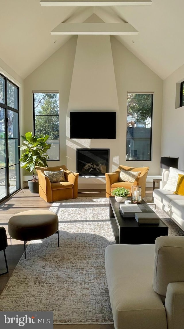 living room featuring high vaulted ceiling, a large fireplace, and wood finished floors