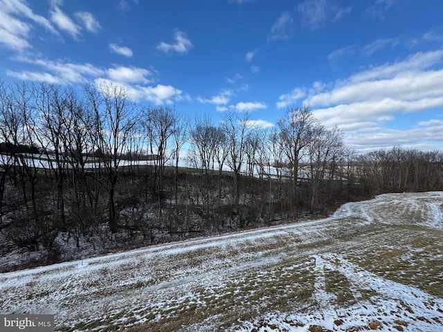 view of snowy yard