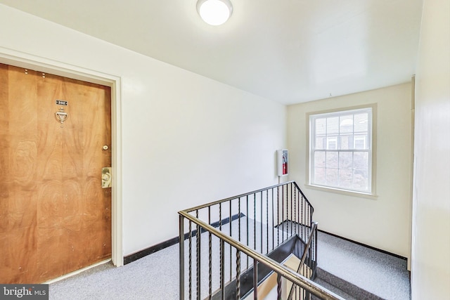 interior space with carpet flooring