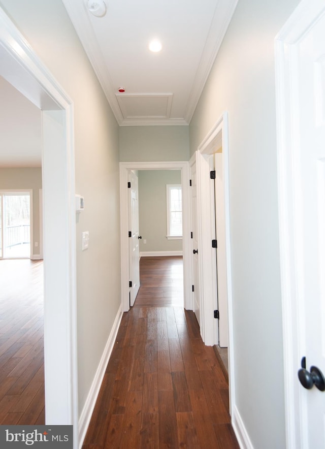 corridor with crown molding, attic access, dark wood finished floors, and baseboards