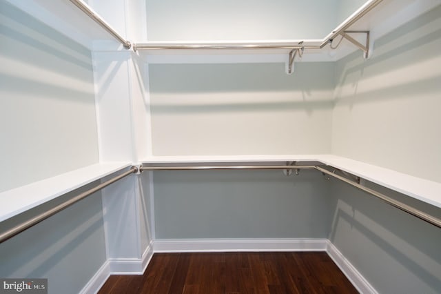 walk in closet with dark wood-type flooring