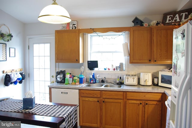 kitchen with a sink, white appliances, light countertops, and brown cabinets