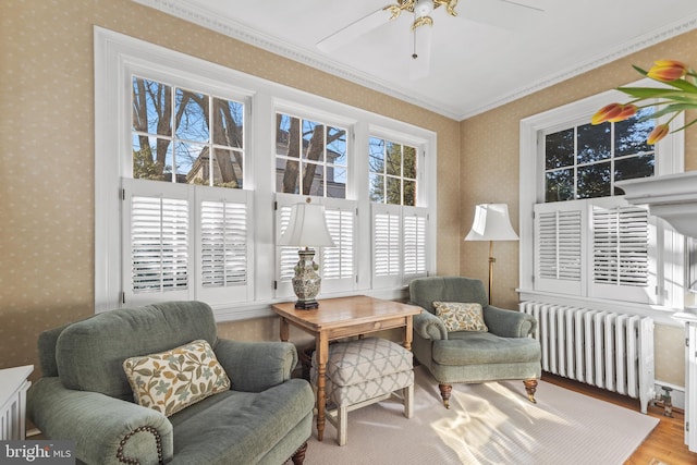 living area with ornamental molding, hardwood / wood-style flooring, radiator heating unit, and ceiling fan