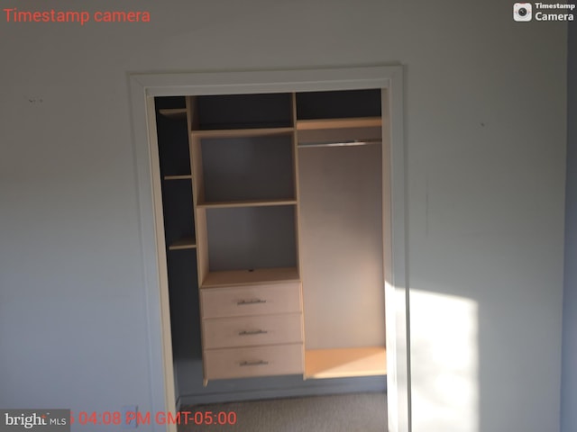 view of closet