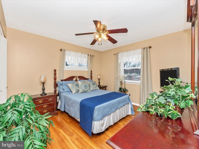 bedroom featuring ceiling fan, multiple windows, and light wood-style floors