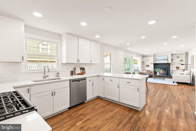 kitchen with a sink, light wood-style floors, stainless steel dishwasher, and a glass covered fireplace