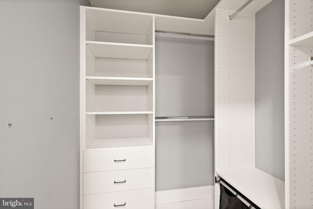 view of spacious closet