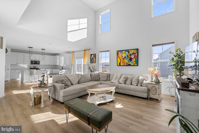 living area with a wealth of natural light and light wood-type flooring