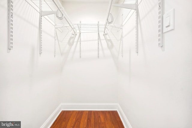 walk in closet with hardwood / wood-style floors