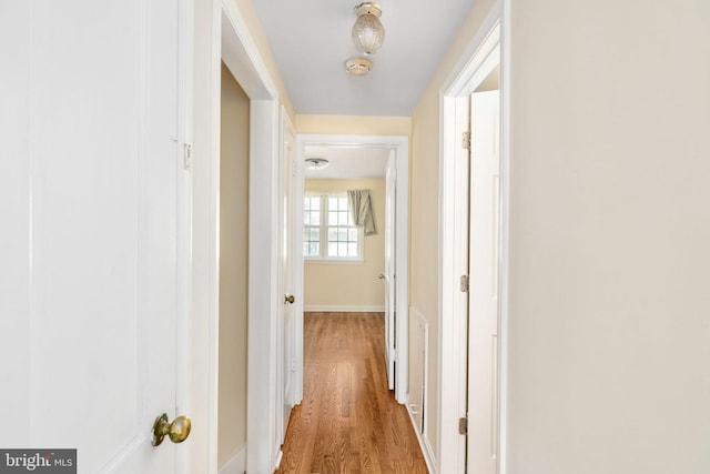 6510 Oakwood Dr, Falls Church, VA 22041 - corridor with light wood-style flooring and baseboards