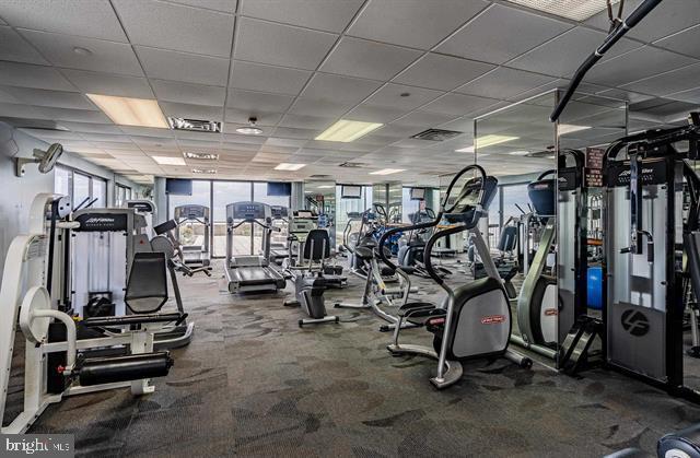 exercise room with carpet flooring, a drop ceiling, and expansive windows