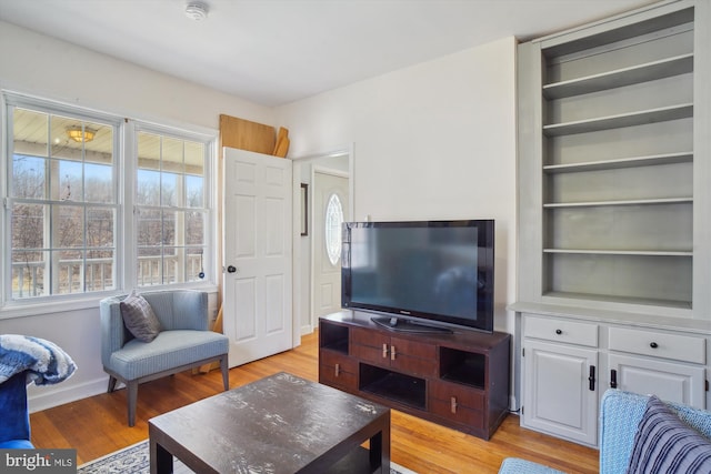 living room featuring light hardwood / wood-style floors and built in features