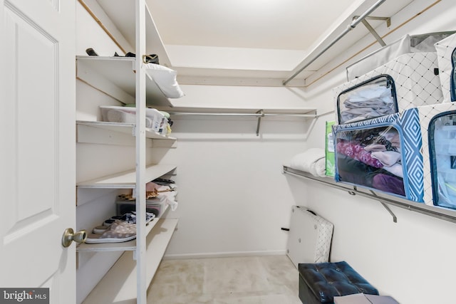 view of spacious closet