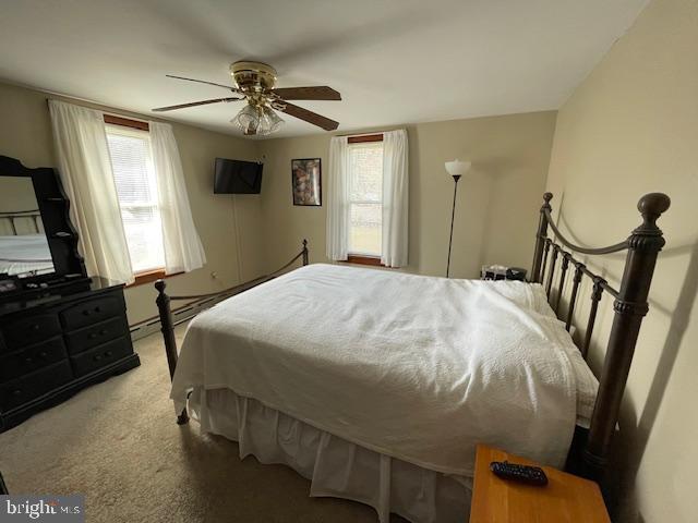 carpeted bedroom with multiple windows and ceiling fan