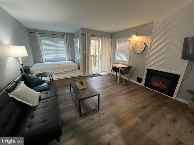 bedroom with dark hardwood / wood-style flooring and access to exterior