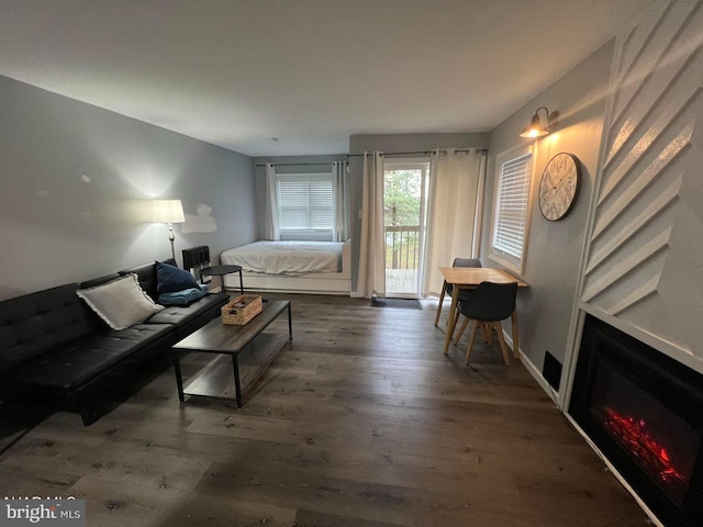 living room featuring dark hardwood / wood-style flooring