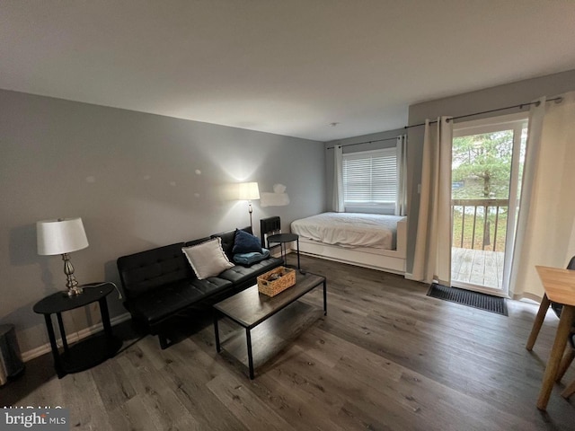 living room with wood-type flooring