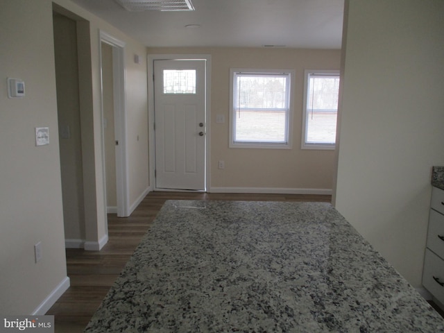 entrance foyer with dark wood-type flooring