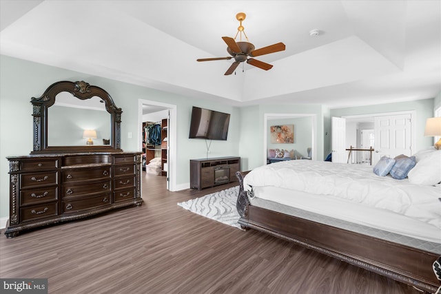 bedroom featuring wood-type flooring, a walk in closet, a tray ceiling, and a closet