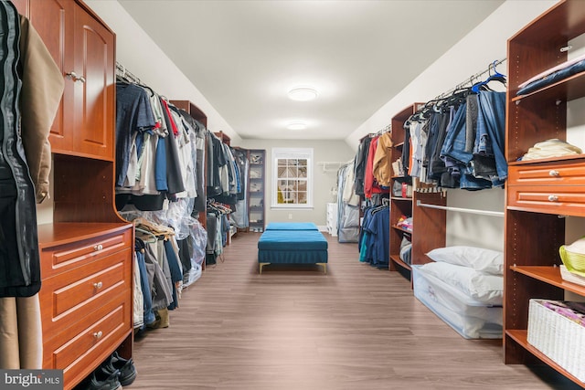 walk in closet featuring light wood-type flooring