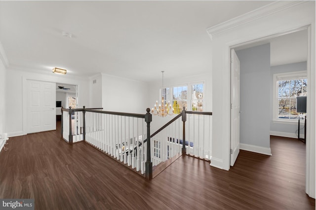 hallway featuring crown molding, an inviting chandelier, and dark hardwood / wood-style floors