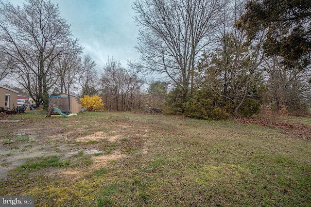 view of yard featuring a storage shed