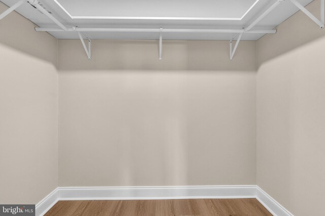 walk in closet featuring wood finished floors