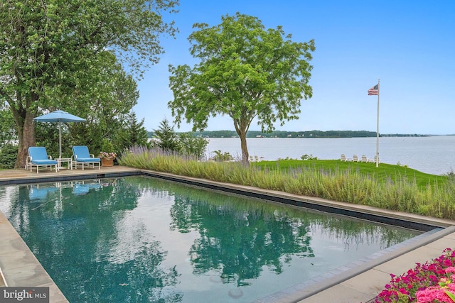 1556 Widows Mite Rd, Edgewater, MD 21037 - swimming pool with a water view