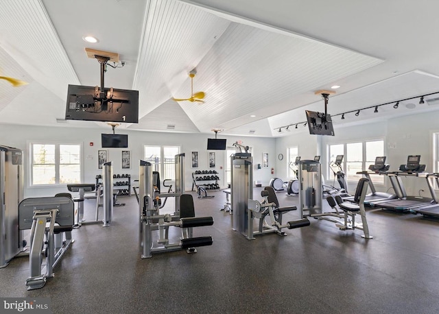 32241 Ivory Gull Way, Millsboro, DE 19966 - workout area with healthy amount of natural light, recessed lighting, and rail lighting