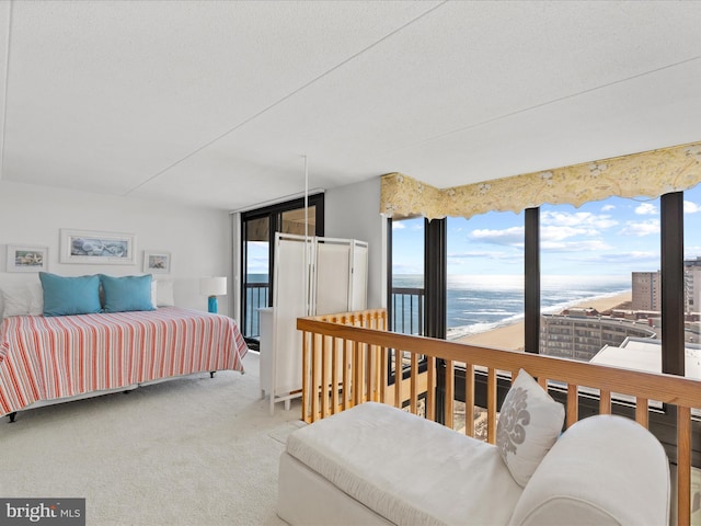 carpeted bedroom featuring a water view and multiple windows