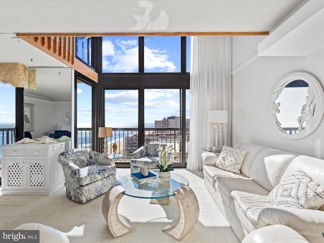 carpeted living room with a view of city