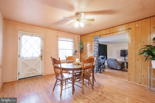 dining room featuring light wood-style floors, wooden walls, and a ceiling fan