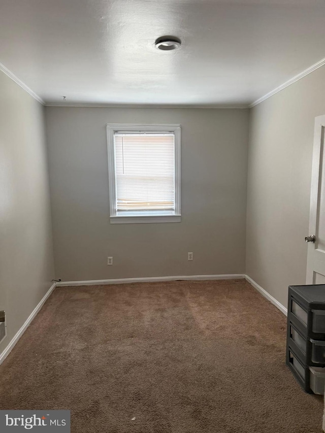 unfurnished room featuring crown molding and carpet floors