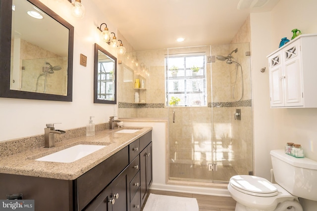 bathroom featuring toilet, vanity, a shower with shower door, and a wealth of natural light