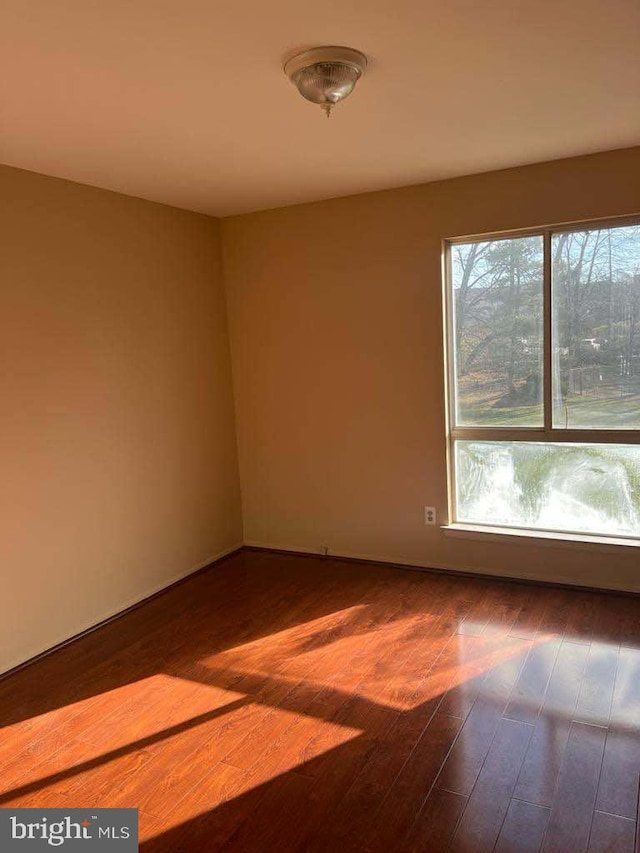 empty room featuring hardwood / wood-style flooring