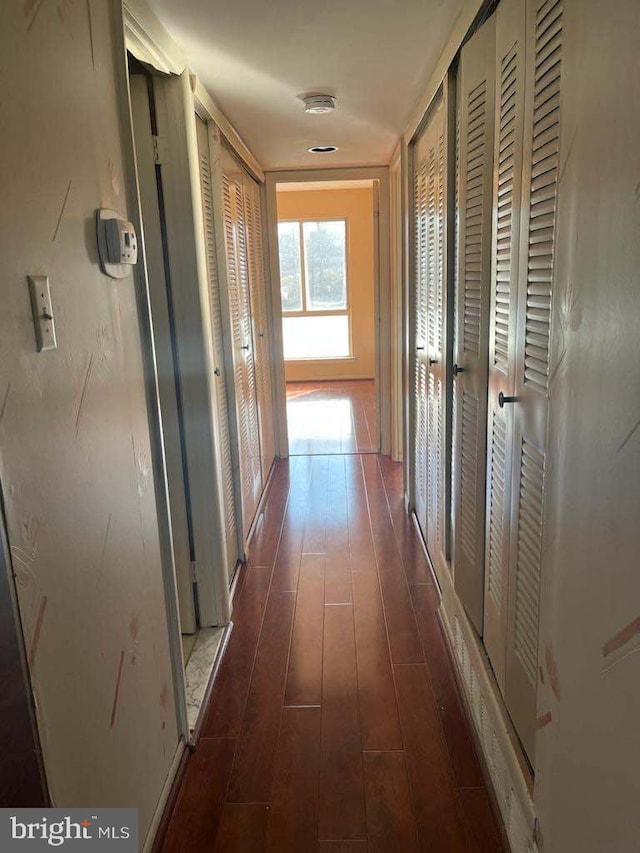 corridor featuring dark hardwood / wood-style floors