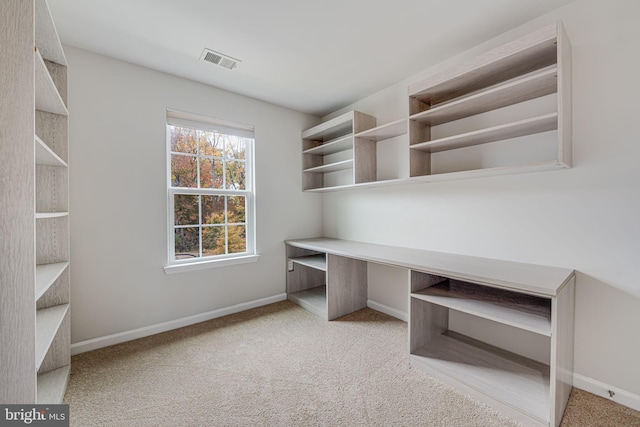 unfurnished office featuring light colored carpet