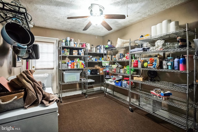 storage with ceiling fan