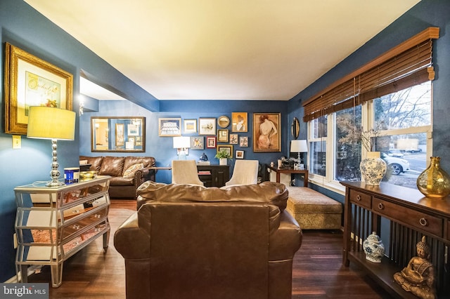 living room featuring wood-type flooring