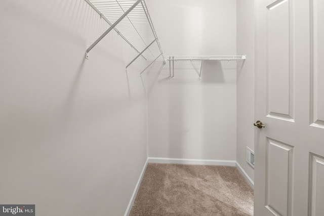 walk in closet featuring light colored carpet