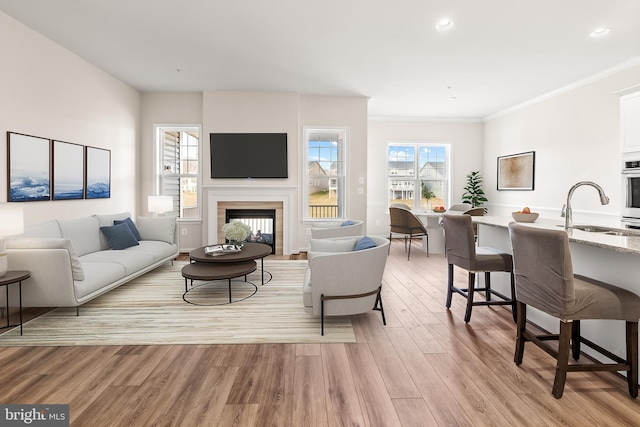 living room featuring light hardwood / wood-style floors, sink, and crown molding