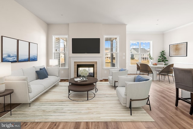 living room with light hardwood / wood-style floors and crown molding