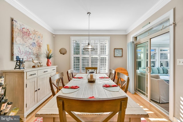 dining space with ornamental molding, light hardwood / wood-style floors, and a healthy amount of sunlight