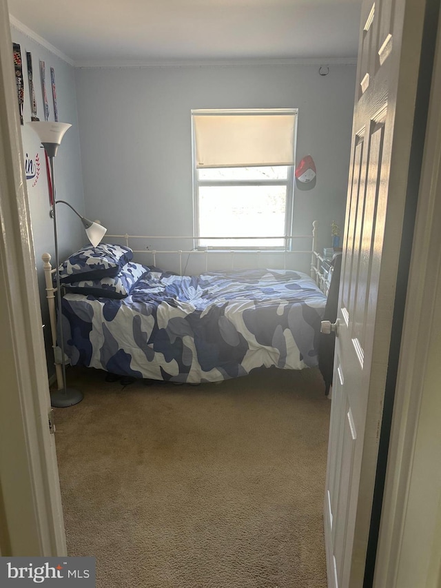 unfurnished bedroom featuring ornamental molding and carpet