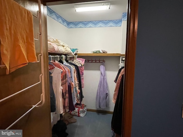 spacious closet featuring carpet