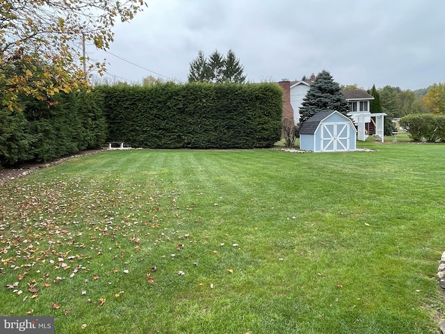 view of yard with a shed and an outbuilding